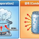 정상냉동엔지니어링 - 315 | [1편] 왜 제습기만 틀면 뜨거운 바람이 나올까? – 실내온도 +3°C 상승의 범인, '잠열'의 법칙 (고장...