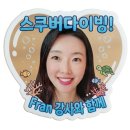 [개런티] 대물을 볼 수 있는 스쿠버 다이빙 투어 포인트