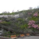 독서당공원 이미지