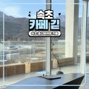 대바위 | 강원도 속초 고성 울산바위 뷰 카페 긷 주말 오픈런 솔직 후기