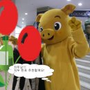 마포진짜원조최대포 이미지