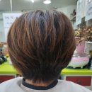 엘림헤어샵 네이버블로그