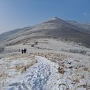 곰배령끝집 이미지