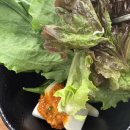 댈기사의 밥은 흰쌀밥이다 이미지