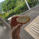 산들치즈 | 남해 여행 일정공유 남해의 숲 산뷰카페 애견동반카페 카이막 치즈 먹으러 간 후기 내돈내산