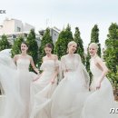 레브클로젯 뉴스1