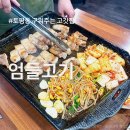 검배로 | 토평동 고깃집 내돈내산 생오겹살 생가브리살 맛집 추천 솔직후기