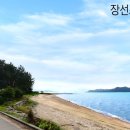 장선포1 이미지