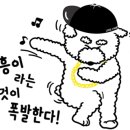 완동 이미지