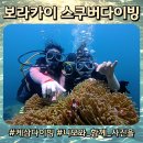 보라카이 액티비티 추천 스쿠버다이빙 체험 후기 니모와 함께!