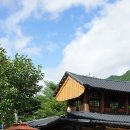삼둔사가리 이미지
