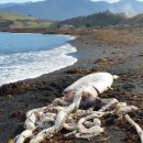 온더비치 이미지