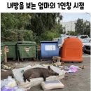 스토리짐(521)(스크린) | 시작이 좋은 2026년💛 25년 연말 마무리와 행복한 26년 1~2월 (+웨딩박람회후기)