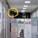 더벨르 이미지