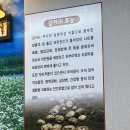 화곡강산면옥 | 화곡역 막국수 맛집 추천 화곡강산면옥 내돈내산 솔직후기 화곡강산옥