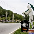 초원식당 이미지