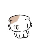 매안초등학교 이미지