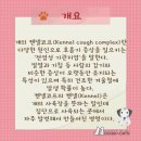 월드켄넬 이미지