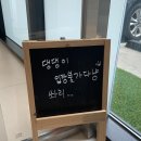 낭만고양이병원 | 대전 고양이 전문병원 건강검진 유성 구암동 낭만고양이병원