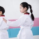 MTA미션 태권도 이미지
