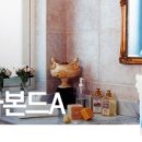 테라미장 이미지