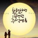 마이스터안경 이미지