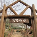 자은시루봉 등산로(자은초교내) | [산행후기] 시루봉 (2011.02.19)
