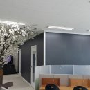 희성프라자 이미지