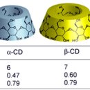 시디인터내셔널 이미지