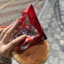 NR-26[대가야로]-하-68 | 26년 3월 기록 📖 아직은 서늘하지만, 조금씩 풀리던 하루들