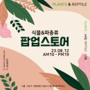 베니마켓