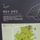 2023년09월01일 배봉산 황토길 이미지