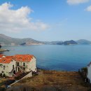 까치와 산토리나 이미지