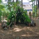 계룡초등학교 병설유치원 이미지