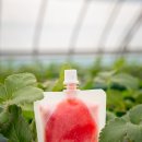 정재영농장 이미지