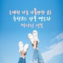 연못6길 15, (문화동) | 가을 여행 추천 제천 가볼만한 곳 청풍호반케이블카에서 덩실분식도너츠