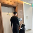 라테라스B 이미지