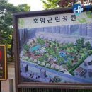 호암근린공원 이미지