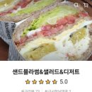 샌드블라썸 이미지
