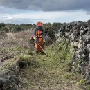 행원환해장성 이미지