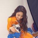 솔라씨