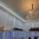 도그마루 강아지고양이 김해창원점 이미지