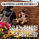 제일농장 | [서울에서 아이랑 가볼만한 곳] 강동구 스페이스팜 - 실내 농장체험 후기 (원데이클래스•토끼체험)