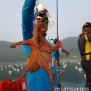 통영도산낚시 Daum카페