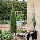 블루농원 이미지