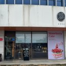 고도교차로(LG전자 베스트샵) | 전남 해남 베이커리 카페, 빵 맛집 동명제과