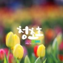 호수공원, 중앙공원 이미지