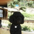 용골농장 이미지