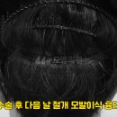 모엠