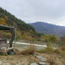 구적골농원 네이버블로그